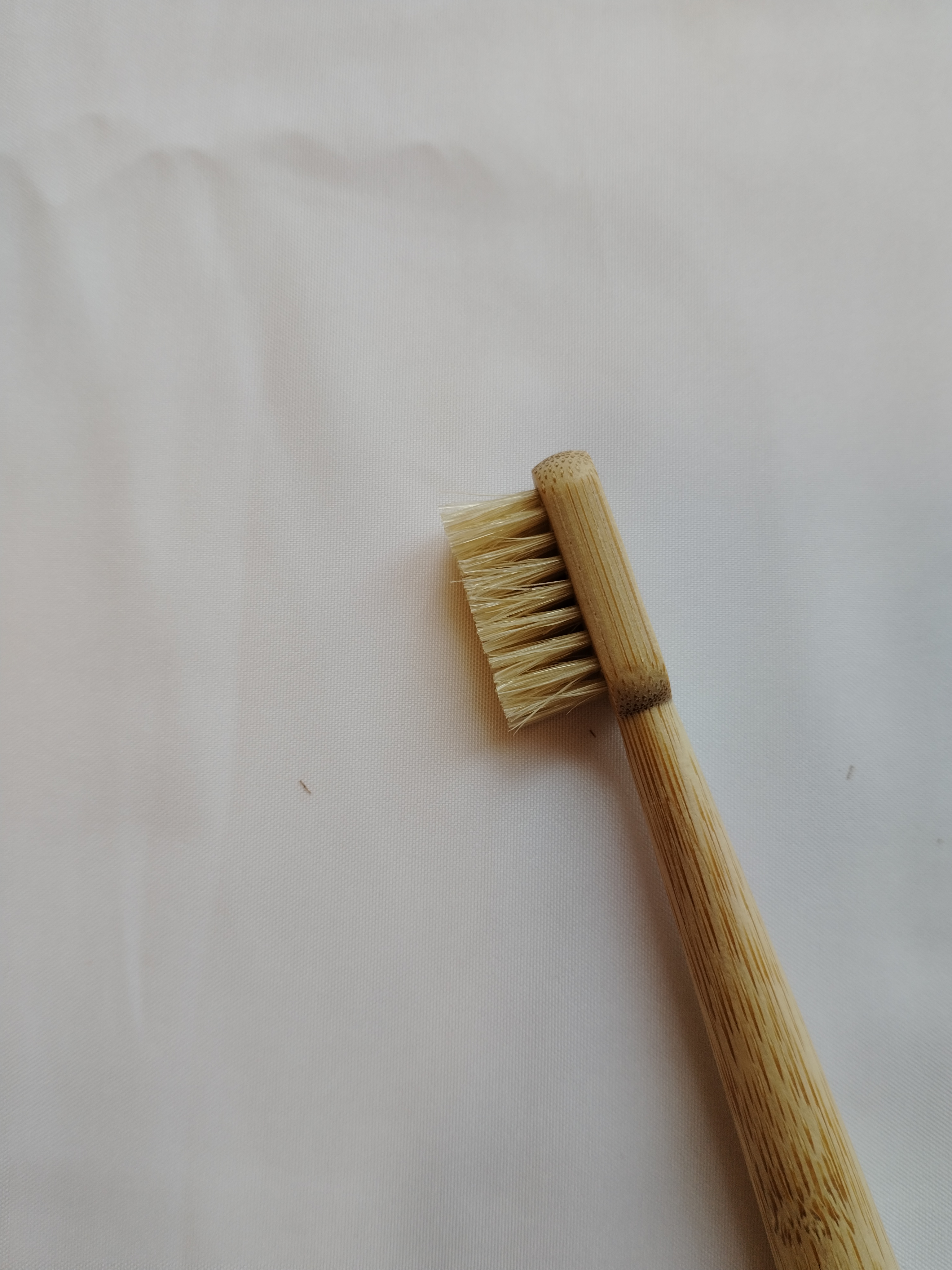 6 Pack Boar Bristle & Bamboo T - Bamboo Toothbrush Set ulasan dan harga